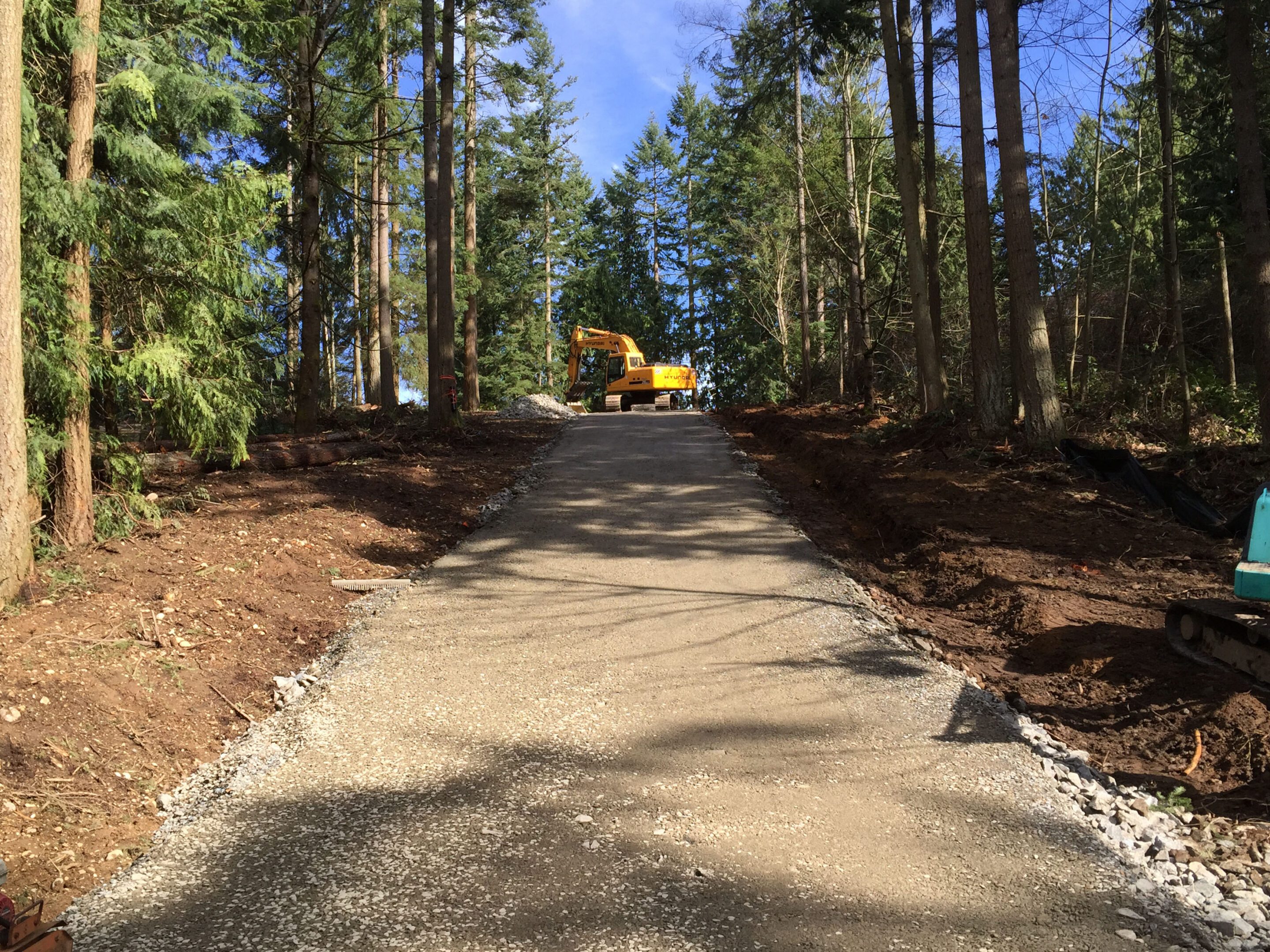 A newly paved driveway surrounded by trees in a forested area.