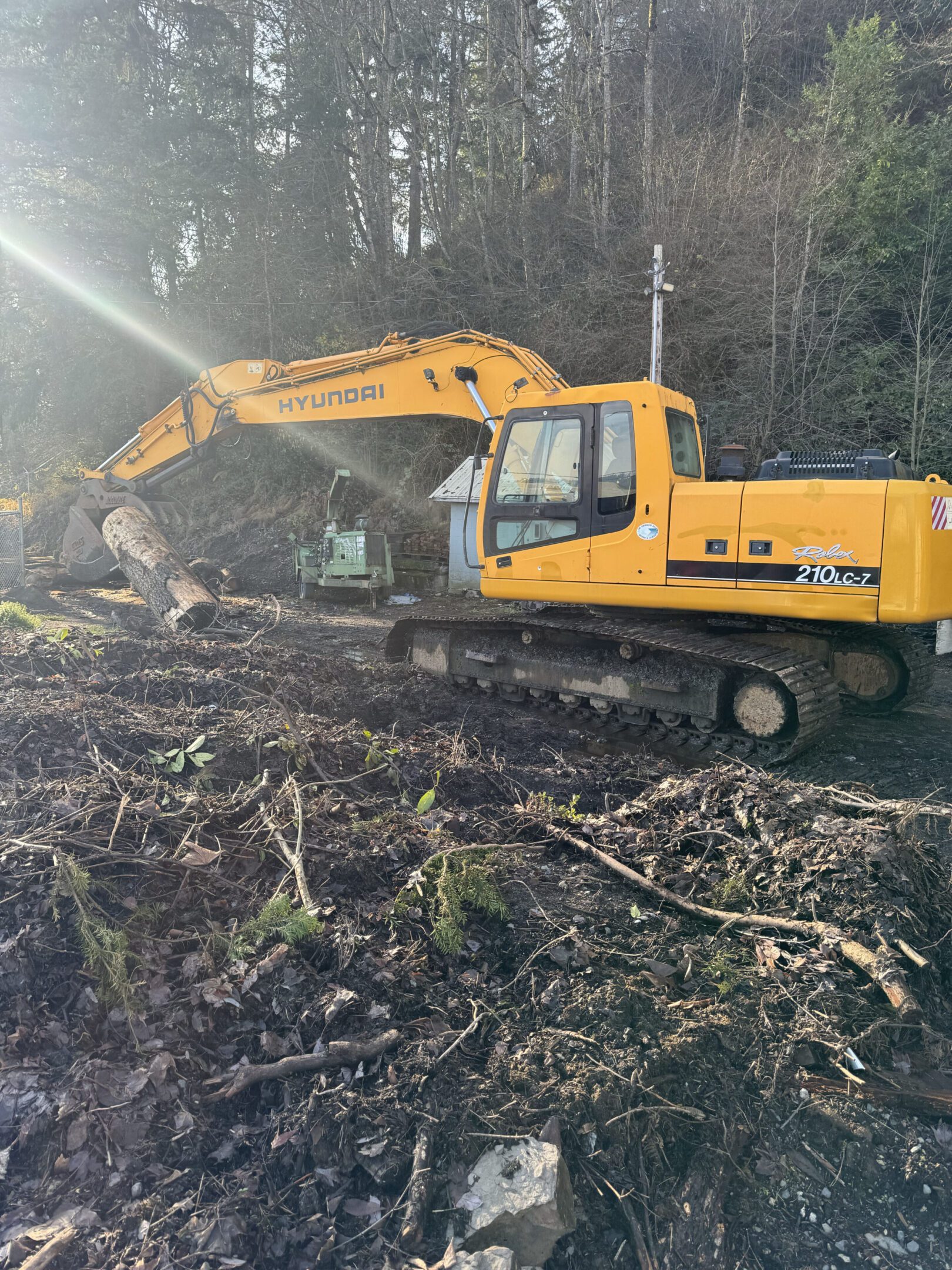 Yellow excavator working on clearing a forested area.